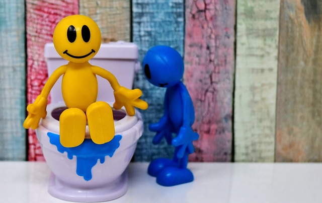 Help, wc verstopt in Amsterdam? Eerste hulp bij toiletproblemen